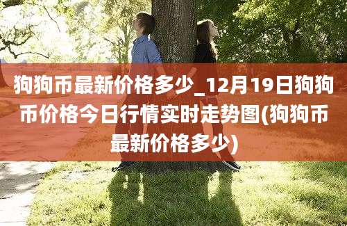 狗狗币最新价格多少_12月19日狗狗币价格今日行情实时走势图(狗狗币最新价格多少)
