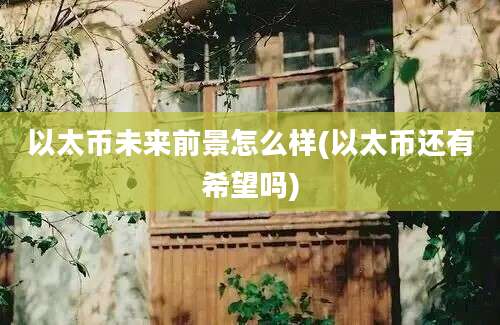 以太币未来前景怎么样(以太币还有希望吗)