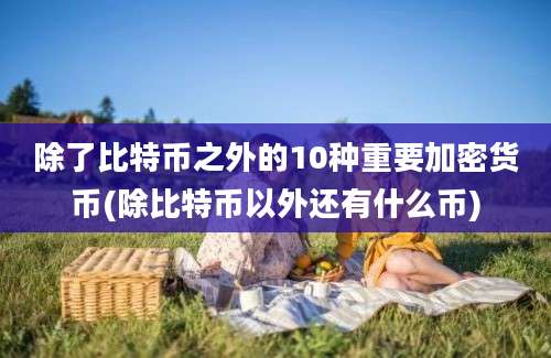除了比特币之外的10种重要加密货币(除比特币以外还有什么币)