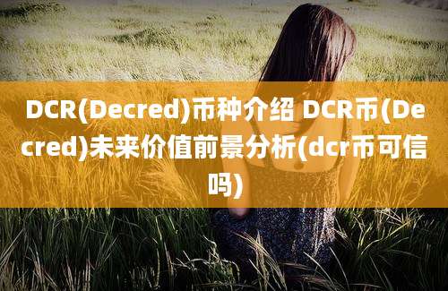 DCR(Decred)币种介绍 DCR币(Decred)未来价值前景分析(dcr币可信吗)