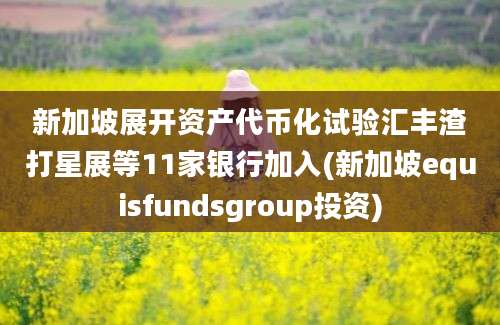 新加坡展开资产代币化试验汇丰渣打星展等11家银行加入(新加坡equisfundsgroup投资)
