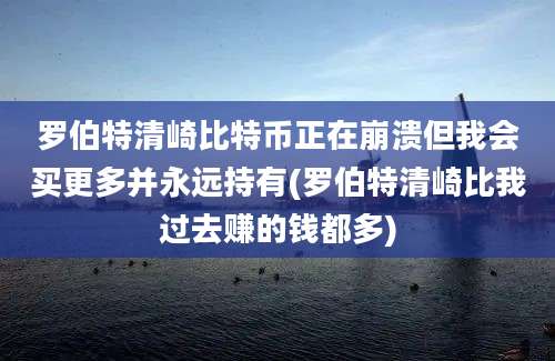 罗伯特清崎比特币正在崩溃但我会买更多并永远持有(罗伯特清崎比我过去赚的钱都多)