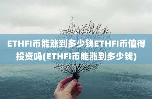 ETHFI币能涨到多少钱ETHFI币值得投资吗(ETHFI币能涨到多少钱)