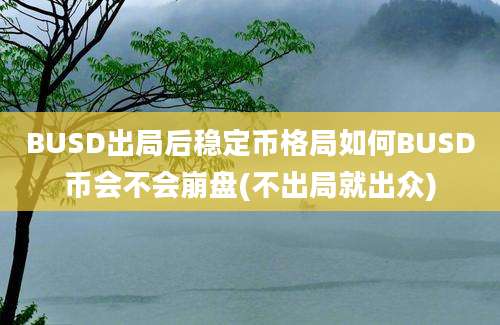 BUSD出局后稳定币格局如何BUSD币会不会崩盘(不出局就出众)