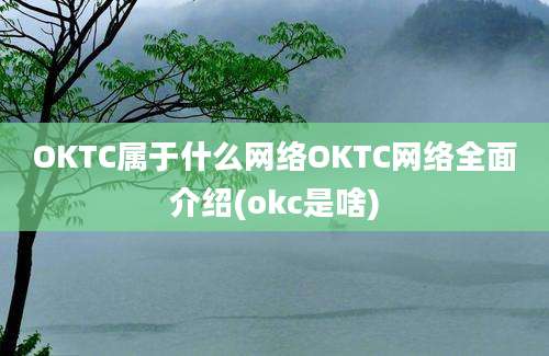 OKTC属于什么网络OKTC网络全面介绍(okc是啥)