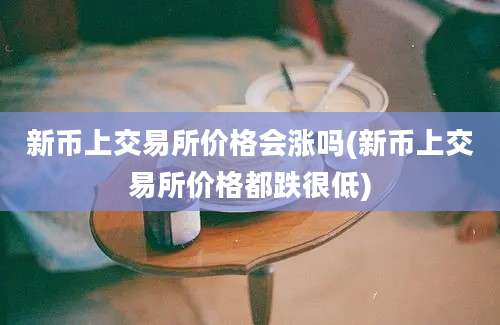新币上交易所价格会涨吗(新币上交易所价格都跌很低)