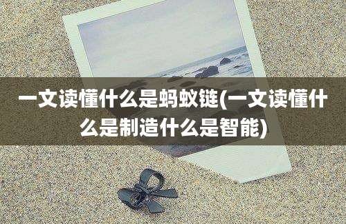 一文读懂什么是蚂蚁链(一文读懂什么是制造什么是智能)