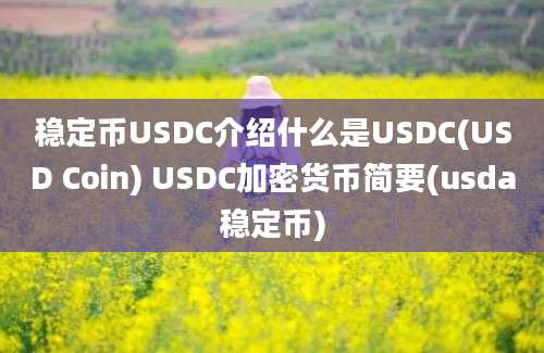 稳定币USDC介绍什么是USDC(USD Coin) USDC加密货币简要(usda稳定币)