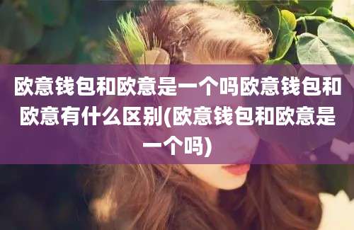 欧意钱包和欧意是一个吗欧意钱包和欧意有什么区别(欧意钱包和欧意是一个吗)
