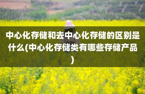 中心化存储和去中心化存储的区别是什么(中心化存储类有哪些存储产品)