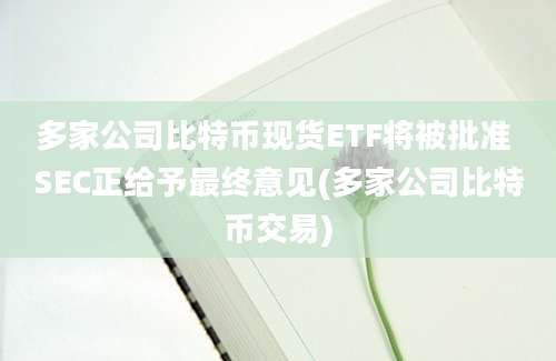 多家公司比特币现货ETF将被批准 SEC正给予最终意见(多家公司比特币交易)
