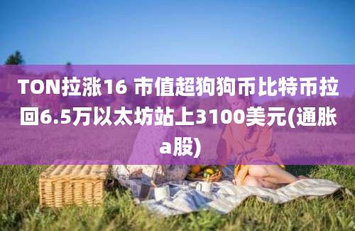 TON拉涨16 市值超狗狗币比特币拉回6.5万以太坊站上3100美元(通胀 a股)