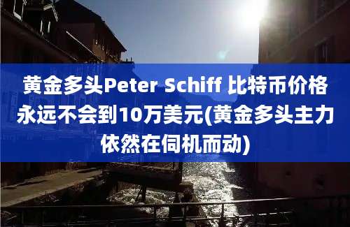 黄金多头Peter Schiff 比特币价格永远不会到10万美元(黄金多头主力依然在伺机而动)