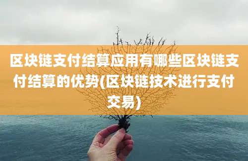 区块链支付结算应用有哪些区块链支付结算的优势(区块链技术进行支付交易)