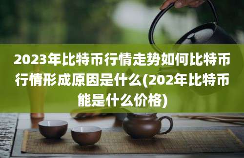 2023年比特币行情走势如何比特币行情形成原因是什么(202年比特币能是什么价格)