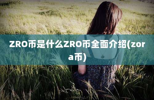 ZRO币是什么ZRO币全面介绍(zora币)