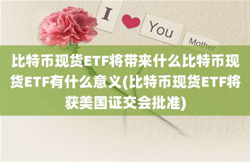 比特币现货ETF将带来什么比特币现货ETF有什么意义(比特币现货ETF将获美国证交会批准)